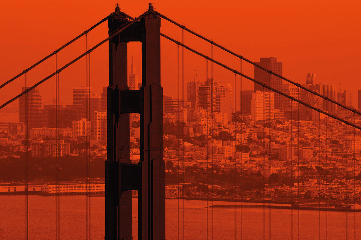 Orange & Black