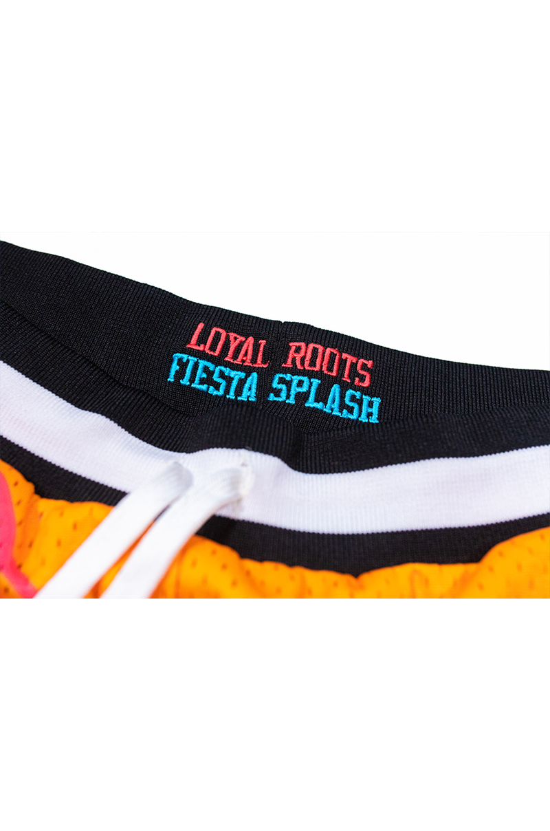 Fiesta Splash